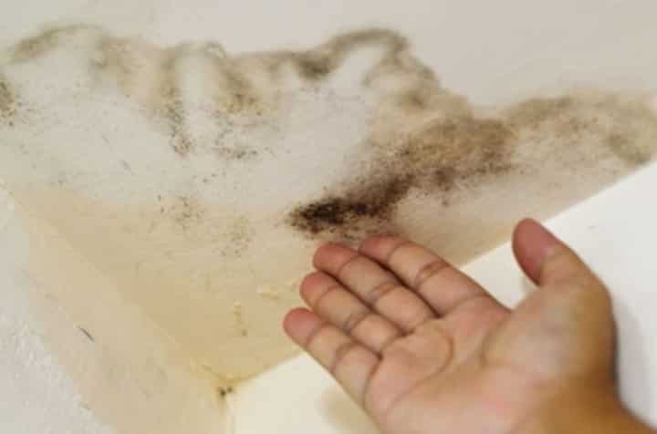 water damage Corona roof rust removal and restoration NATIONAL WATER DAMAGE EXPERTS CO Corona, CA (951) 524-7180